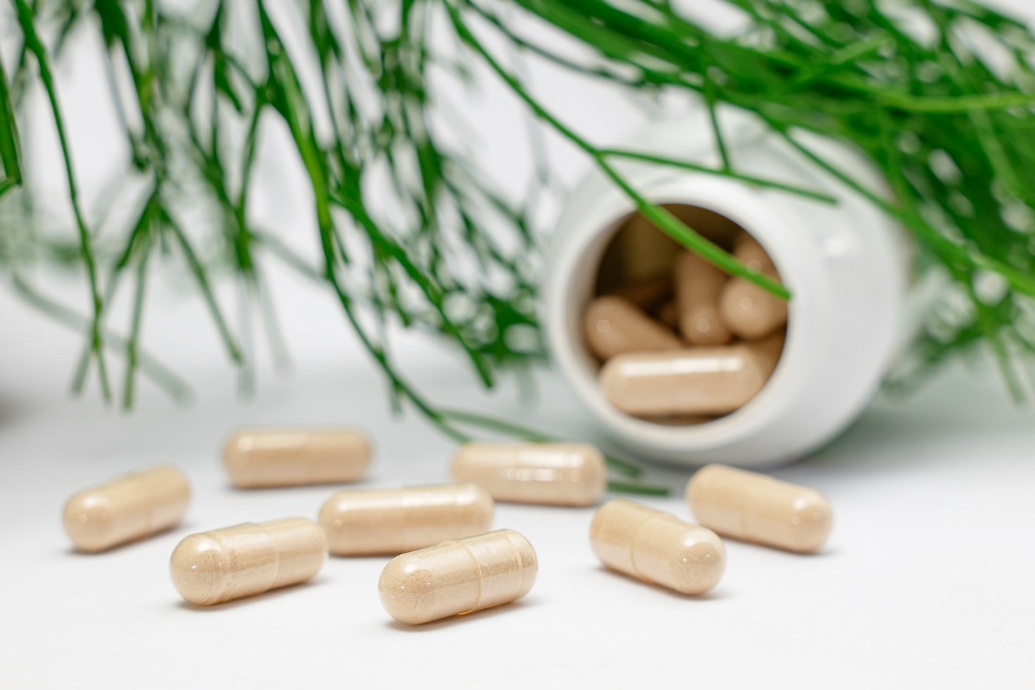 Benefícios dos suplementos naturais para a saúde